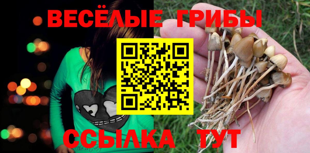 Алатырь  Галлюциногенные грибы мухоморы  где купить наркоту  Вход с VPN  Псилоцибиновые грибы прущие грибы 