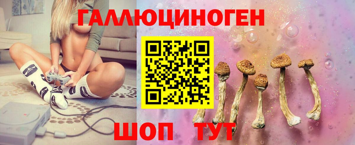 Псилоцибиновые грибы Psilocybine cubensis Алатырь
