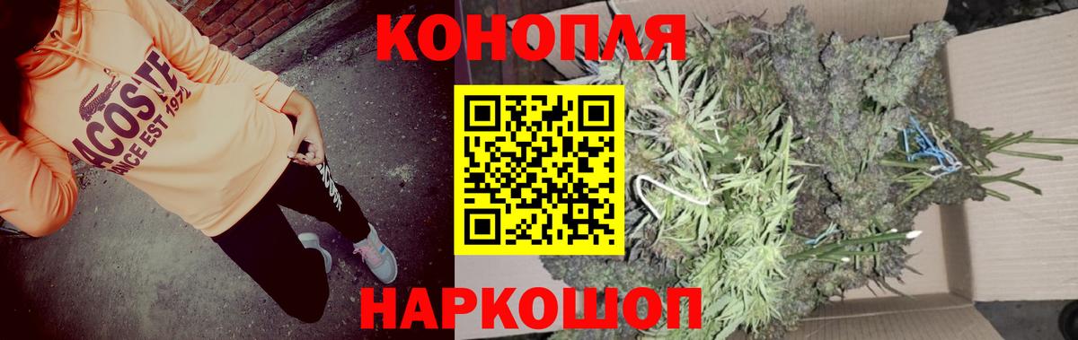 Конопля марихуана Алатырь